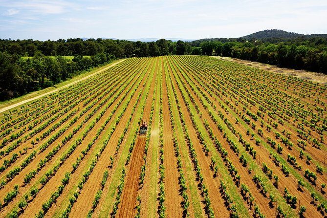 4x4 tour in a winery followed by a tasting - Price and time: is $30.04 a good value?