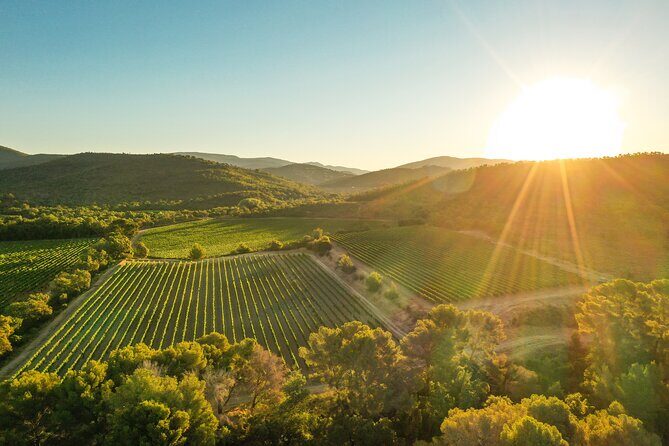 4x4 tour in a winery followed by a tasting - The 4x4 Defender vineyard walk: the part you’ll remember