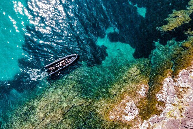Boat excursion - Cannes Esterel Coves Insight – 1H30 - The Bubbles House and Bubbles’ Palace: architectural oddities from the sea
