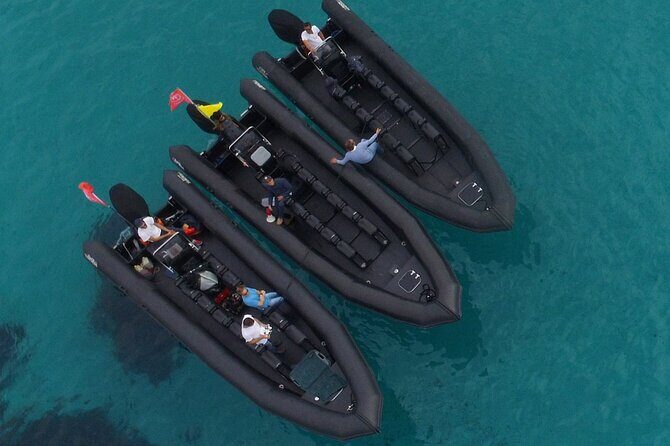Boat Excursion - Nice/St Jean Cap Ferrat 1H30 - Who This Boat Trip Fits Best (and Who Might Want a Different Plan)