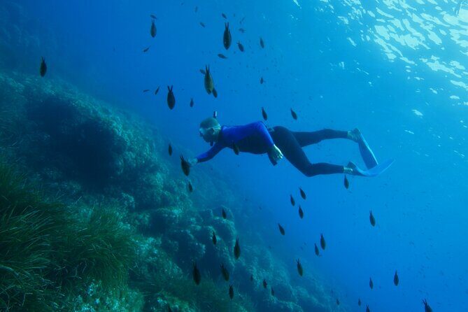 Boat trip and snorkeling in Villefranche - sur - Mer - From Nice to Villefranche by Boat: Why This Starts Off Right