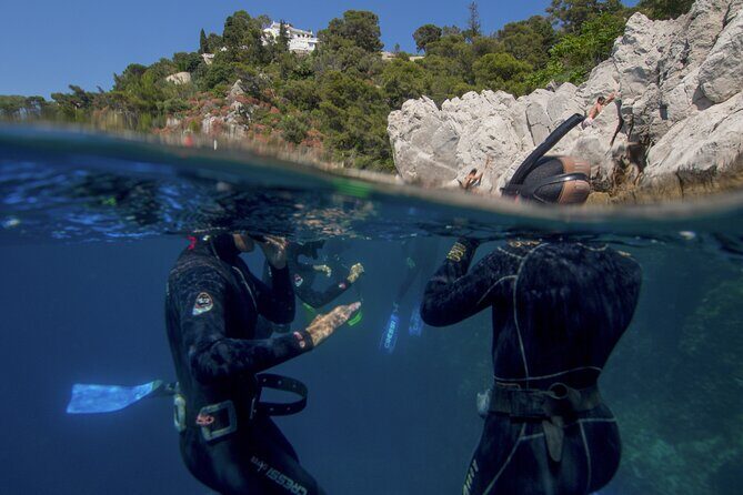 Boat trip and snorkeling in Villefranche - sur - Mer - What You’ll See: Fish, Possible Octopus, and the Honest “No Guarantees” Part