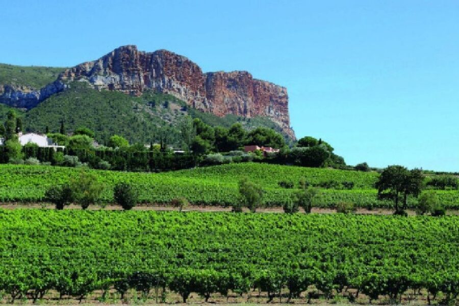 Calanques of Cassis, Aix-en-Provence & Wine Tasting Day Tour - What You Get in 10 Hours: Aix, Cassis, Calanques by Boat, and Wine
