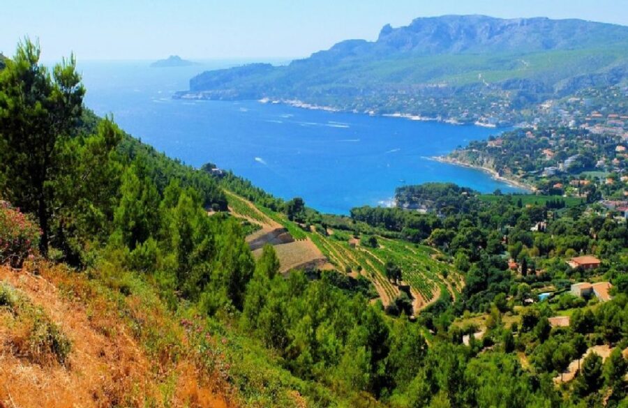 Calanques of Cassis, Aix-en-Provence & Wine Tasting Day Tour - Cassis Waterfront and Calanques Country: fishing port charm and sea-urchin territory