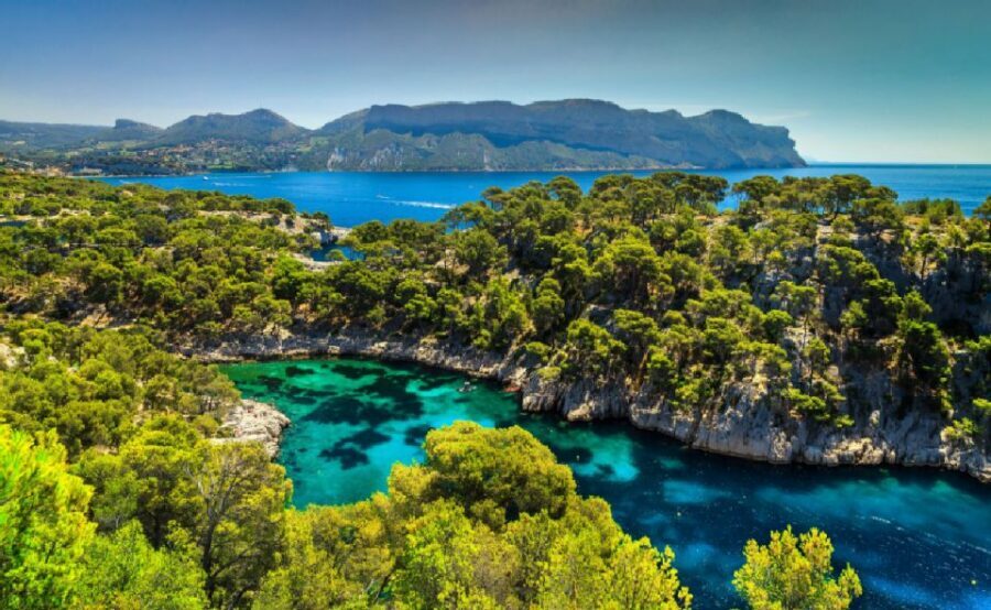 Calanques of Cassis, Aix-en-Provence & Wine Tasting Day Tour - Wine Tasting Session: Provençal heritage in a structured, not-too-long stop
