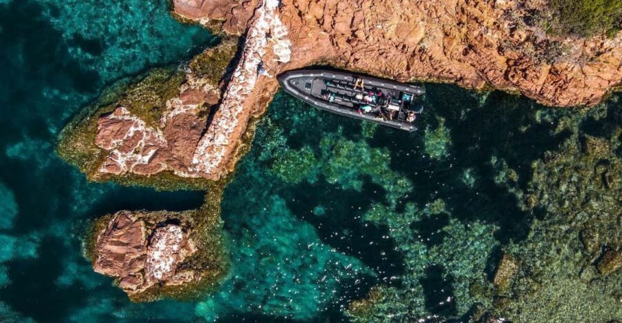 Cannes: 2.5-Hour Esterel Calanques Boat Excursion - Why the Estérel calanques feel different from a typical Cannes cruise