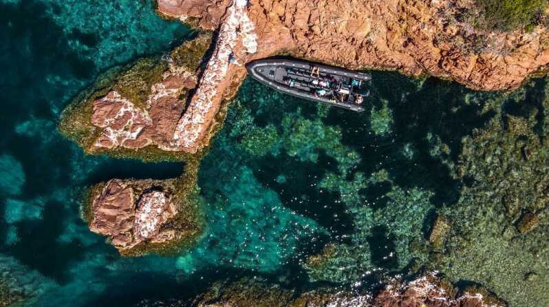 Cannes: 2.5-Hour Esterel Calanques Boat Excursion - Black Tenders semi-rigid boats with jockey seats: comfort and safety