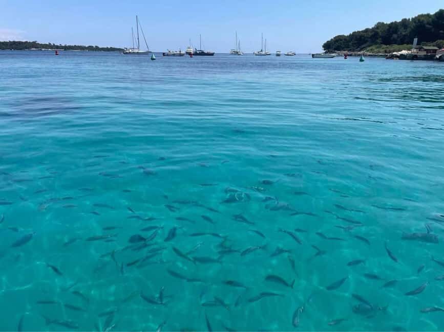 Cannes: Boat trip without a license to the Lerins Islands - Théoule-sur-Mer stretch: your longer late-day payoff