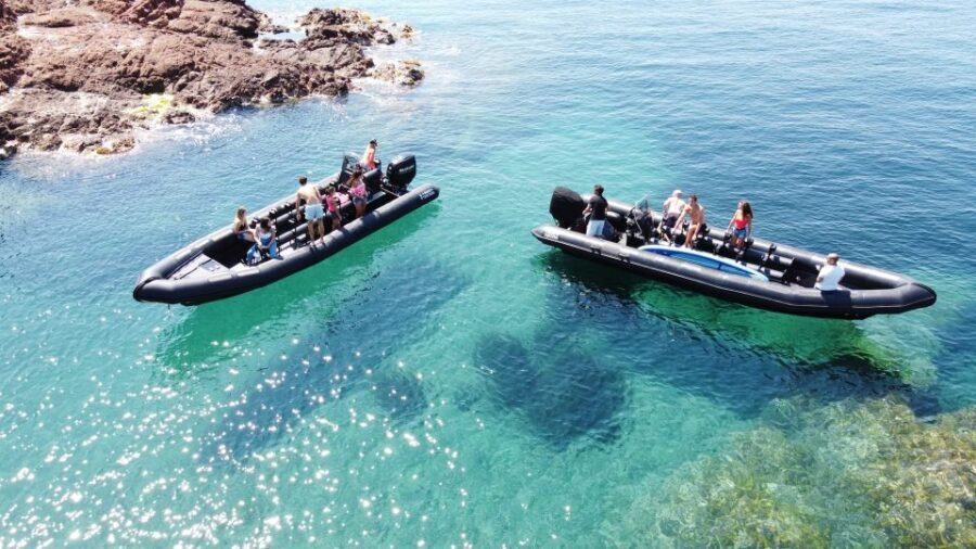 Cannes: coastline boat excursion to St Tropez via Esterel - Cannes to Saint-Tropez by boat: why this route is worth it