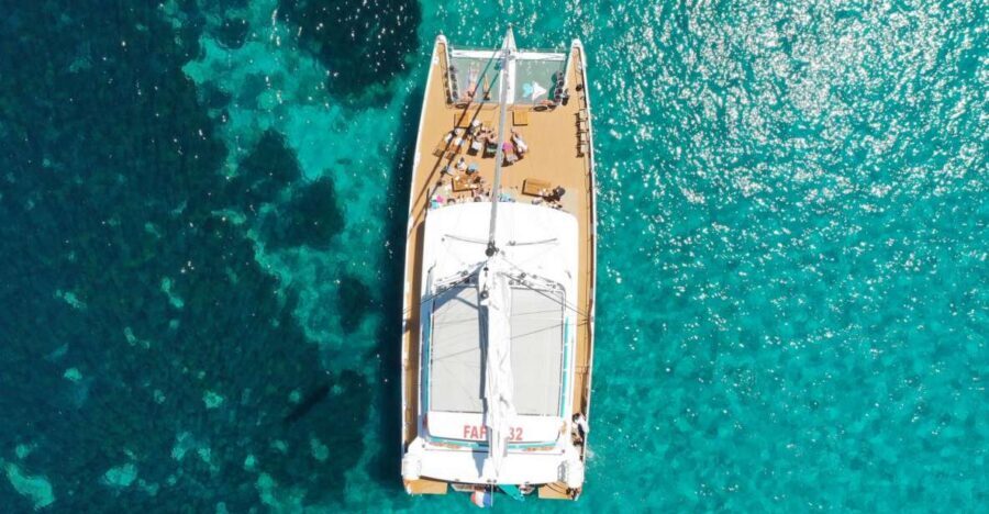 Cannes: Half-Day Catamaran Cruise - How the Route Can Change: Lérins Islands and the Corniche d’Or Options