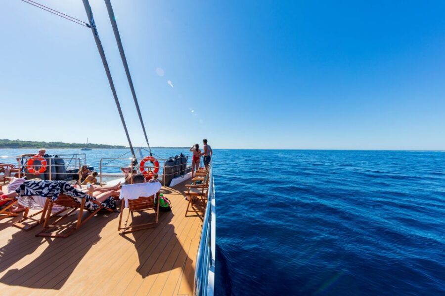 Cannes: Half-Day Catamaran Cruise with Lunch - Key Highlights That Matter