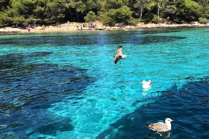 Cannes Private Boat Tour to the Lerins Islands – Relax & Cruise - Saint-Honorat and the Cistercian monks: history you can feel