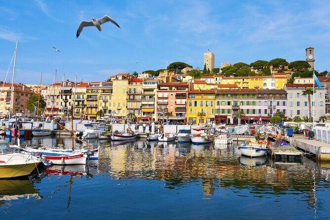 Cannes Private Tour: Film Festival, Secrets & Stunning views - Meeting point clarity: where to stand and what to look for