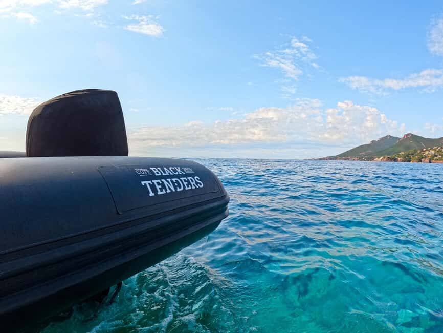 Cannes: Scenic Coves RIB Boat Tour - Should you book the Cannes Scenic Coves RIB tour?