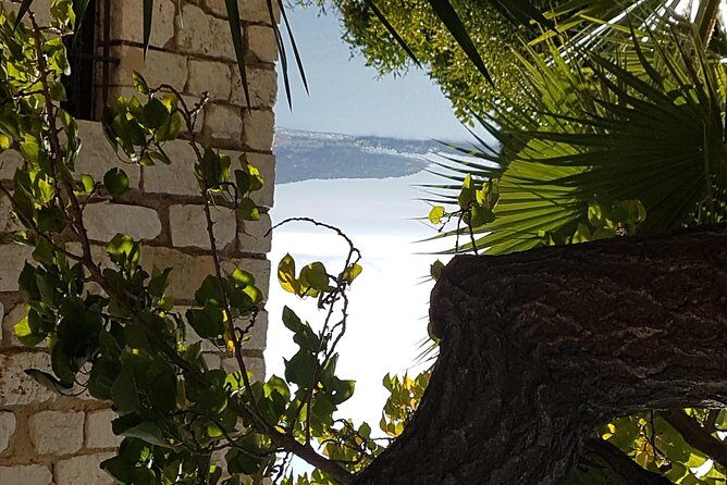 CANNES Shore Excursion: French Riviera Highlights with your Guide - Stop 2: Old Town Stroll With Market Time (1 Hour, Free)