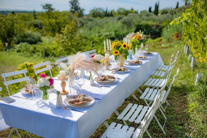 Dinner in the Vineyard French Riviera - Key highlights worth your time