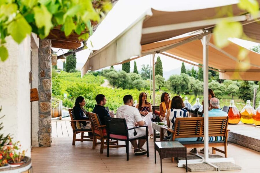 Dinner in the vineyard French Riviera - A Simple Booking Checklist Before You Go