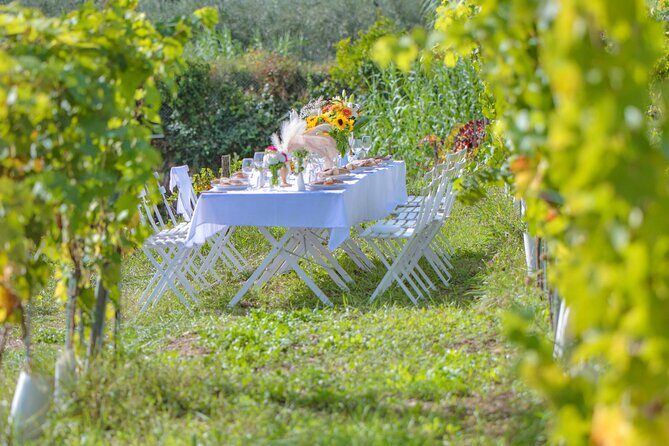 Dinner in the Vineyard French Riviera - Timing, Getting There, and How Weather Can Shift the Evening