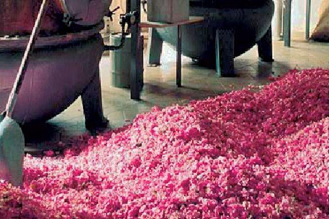 Flavors & Tastes of Provence , Shared & Guided 1/2 Day from Nice - Musee Fragonard in Grasse: perfume time with a real choice