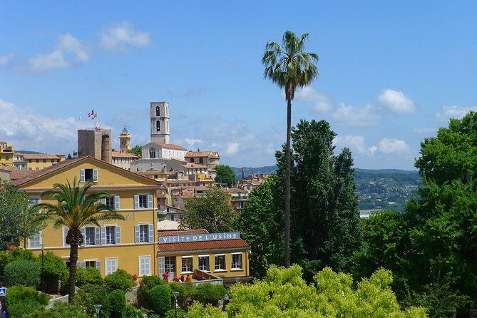 Flavors & Tastes of Provence , Shared & Guided 1/2 Day from Nice - The violet-flower village: a compact stop with local color