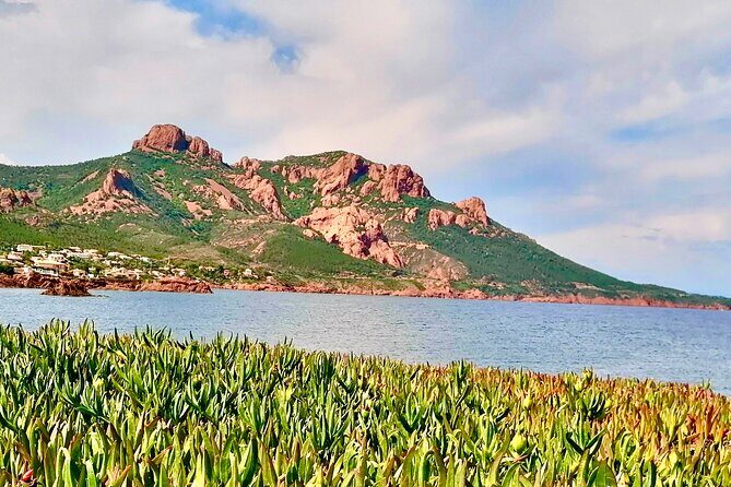 French Riviera Colorado & Var West by Train (from Cannes/Nice) - Practical tips I’d use before a day like this