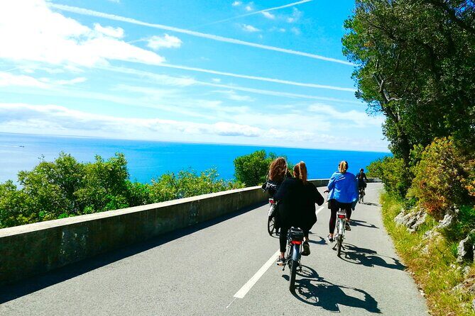 French Riviera Grand Panoramic E-Bike Tour - Mont-Boron forest park: defense fort views without the effort drama