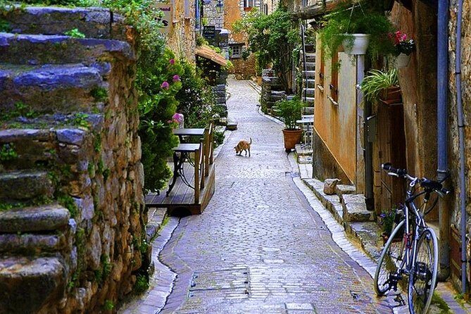 French Riviera & Medieval villages Full Day Private Tour - Price and value for a private group (up to 8)