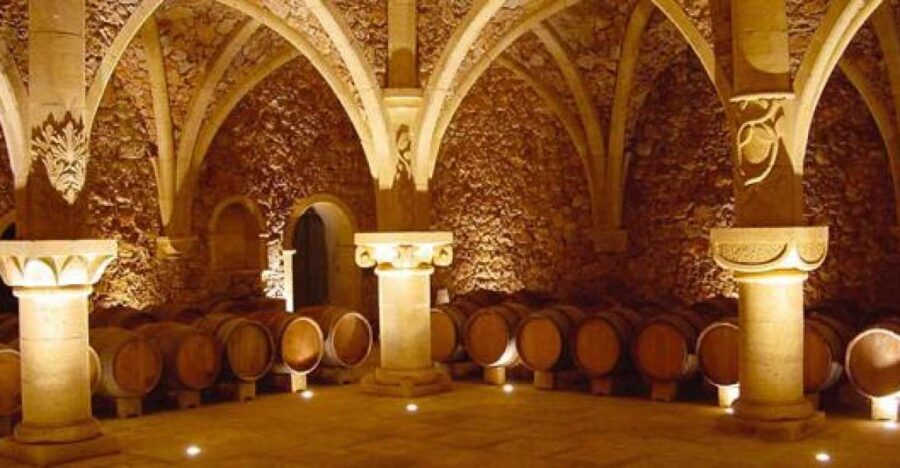 French Riviera: Provencal Wine Tour - Var region and the guided start: tasting plus “why this tastes like this”