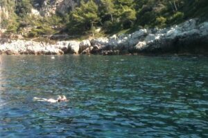 French Riviera Villefranche Bay Snorkeling Tour from Nice - The cruise along the Riviera: scenery without the long haul