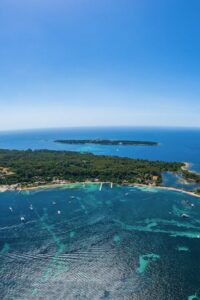 From Cannes: Round-Trip Ferry to Ste. Marguerite Island - Ferry logistics that matter: where to show up and how to board