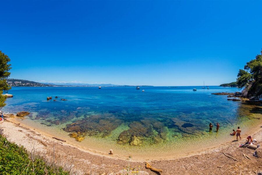 From Cannes: Round-Trip Ferry to Ste. Marguerite Island - Batéguier Pond and Pointe de la Convention: birds and plants
