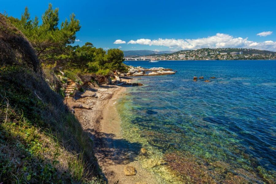 From Cannes: Round-Trip Ferry to Ste. Marguerite Island - Swimming and the underwater eco museum: bring your swim kit