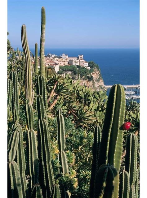 From Nice: Monaco, Monte Carlo & Eze Full-Day Tour - Eze on the Corniche: Medieval Streets and Fragonard Perfume