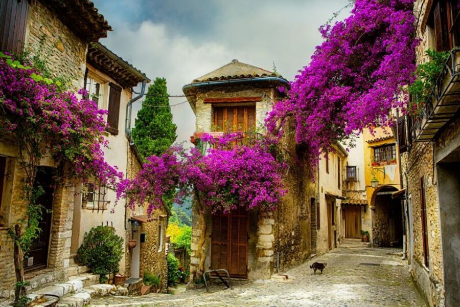 From Nice: Provence and its Medieval Villages Full-Day Tour - Tourrettes-sur-Loup: The City of Violets and Real Craft Streets