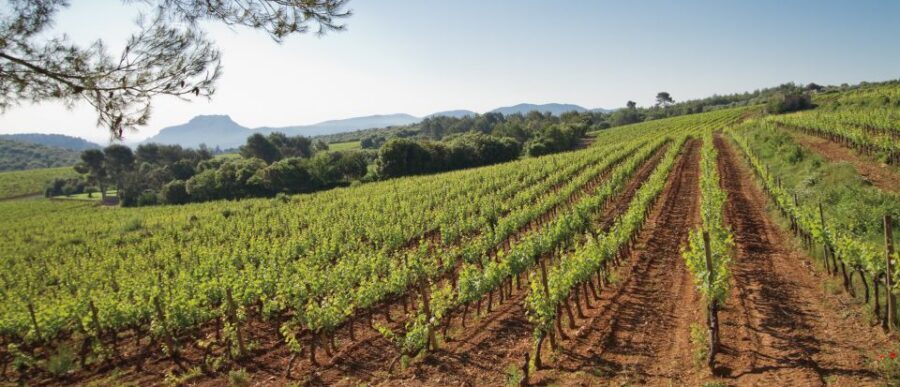 From Nice: Provence Wine Full-Day Tour - Key things to know before you go