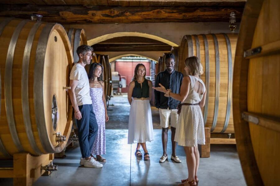 From Nice: Provence Wine Full-Day Tour - Small-group format: you’ll taste more and wait less
