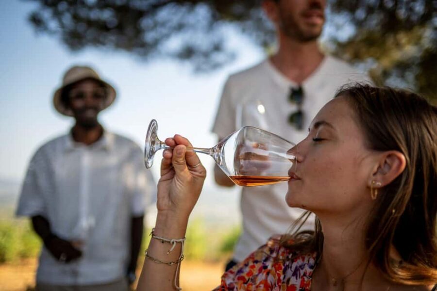 From Nice: Provence Wine Full-Day Tour - Stop 1: a Cru Classé château with cellar access and big provenance