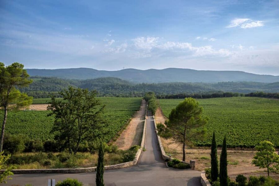 From Nice: Provence Wine Full-Day Tour - The tastings and the mini-masterclass: how you’ll get more from every sip