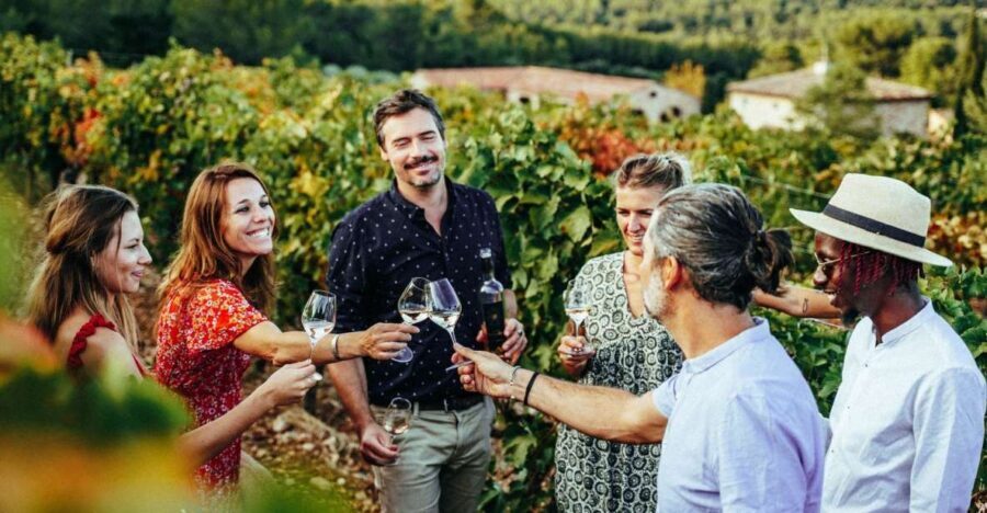 From Nice: Provence Wine Full-Day Tour - Stop 2: four generations of family vines and a terrace tasting