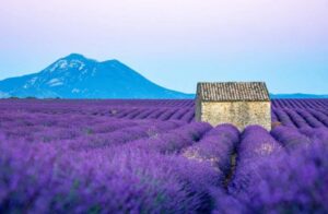 From Nice: Verdon Gorges & Lavender Fields Tour & Transport - Castellane coffee break: why this town fits the itinerary