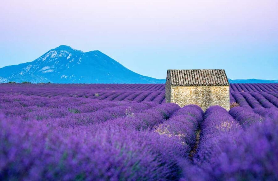 From Nice: Verdon Gorges & Lavender Fields Tour & Transport - Castellane coffee break: why this town fits the itinerary