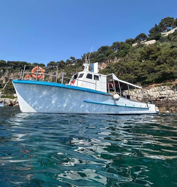 From Nice: Villefranche Bay Swimming & Snorkeling Boat Tour - Key highlights of this Nice to Villefranche Bay swim