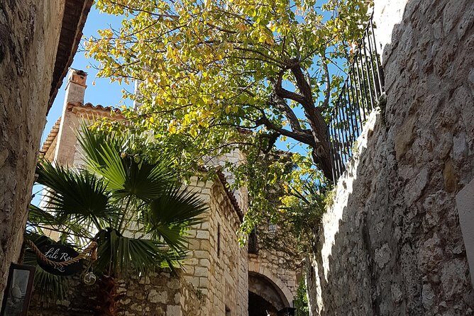 Full Day Private Custom French Riviera Tour from Nice - What the Guides Add: Licensed Guide, Local Guide, and Live Commentary