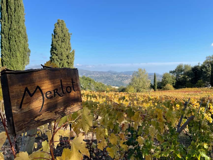 Full-Day Wine Tour in Bellet & Saint-Paul de Vence From Nice - Why Bellet and Saint-Paul work so well together