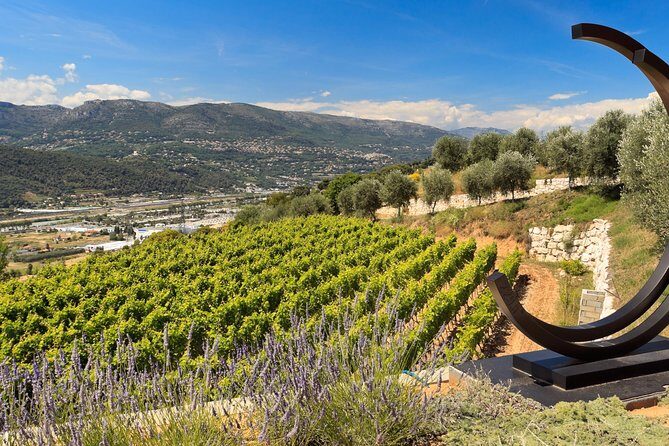 Full-Day Wine Tour in Bellet & Saint-Paul de Vence From Nice - Meeting in Nice and settling into the small-group rhythm