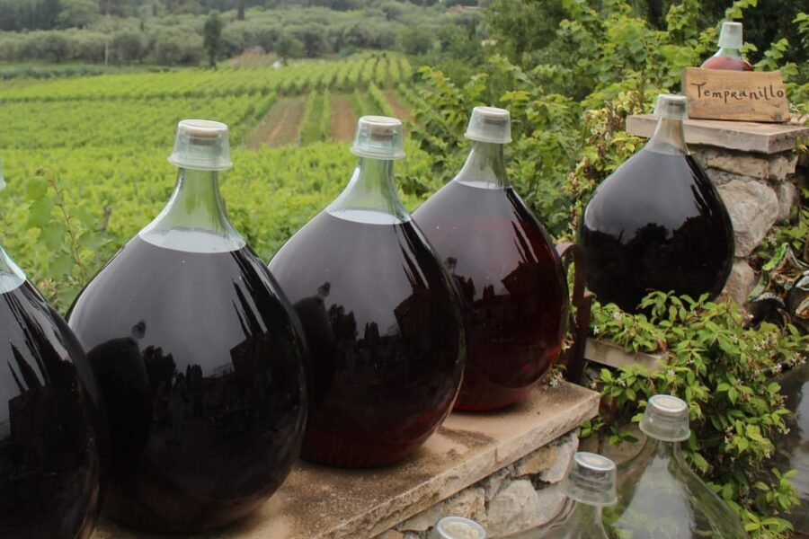 Grasse, Valbonne & Gourdon: Day Tour with Wine Tasting - Who Should Book This Tour (And Who Might Skip It)