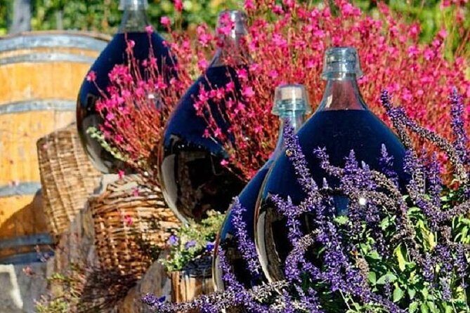 Half-Day Wine Tasting and Saint Paul de Vence Tour from Nice - Who this tour is best for (and who should skip it)