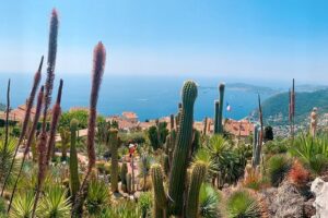 Monaco & Èze - Pickup, timing, and the half-day vs full-day decision