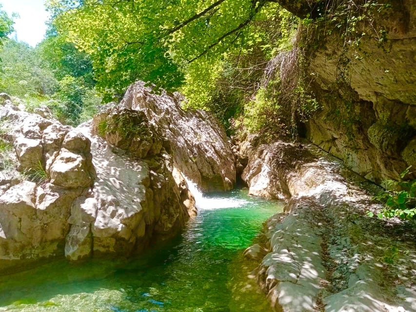 Mountain Train Experience: Hike & Mystic Forest (From Nice) - Getting there from Nice: the early start that earns its keep