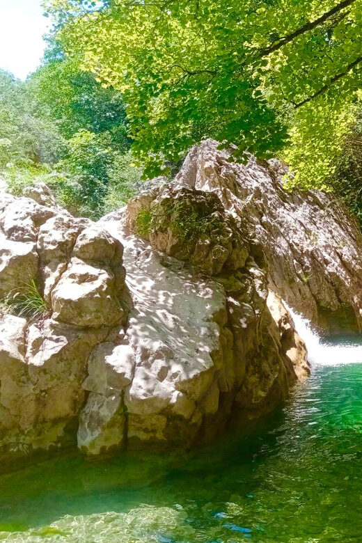 Mountain Train Experience: Hike & Mystic Forest (From Nice) - The train ride through the Alps: bridges, tunnels, and real civil engineering